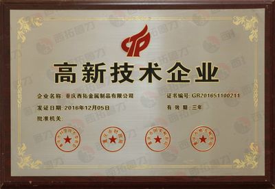 高新技術(shù)企業(yè)