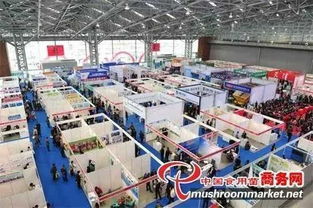 四月合肥國際食用菌大型會展即將啟幕 聚焦高新技術(shù)賦能產(chǎn)業(yè)升級