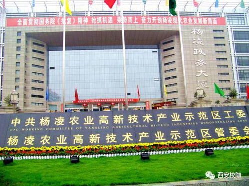 倒計時！第二十四屆楊凌農高會搶先看 農科秀再添國際范兒，高新技術領航現代農業